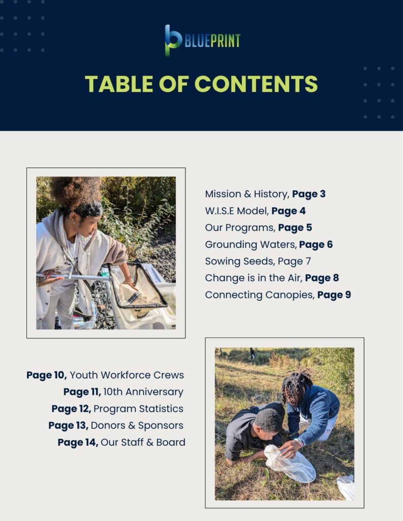Table of Contents