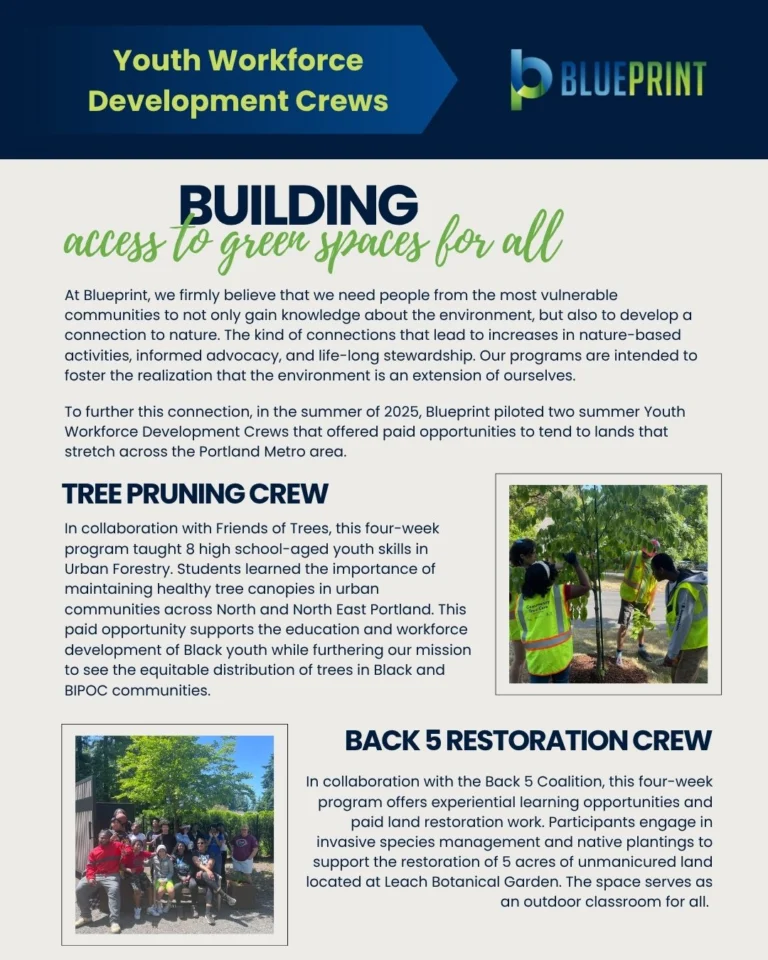 Instagram post from theblueprintfoundation. This post is in position 7.