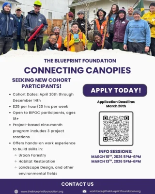 Instagram post from theblueprintfoundation. This post is in position 2.