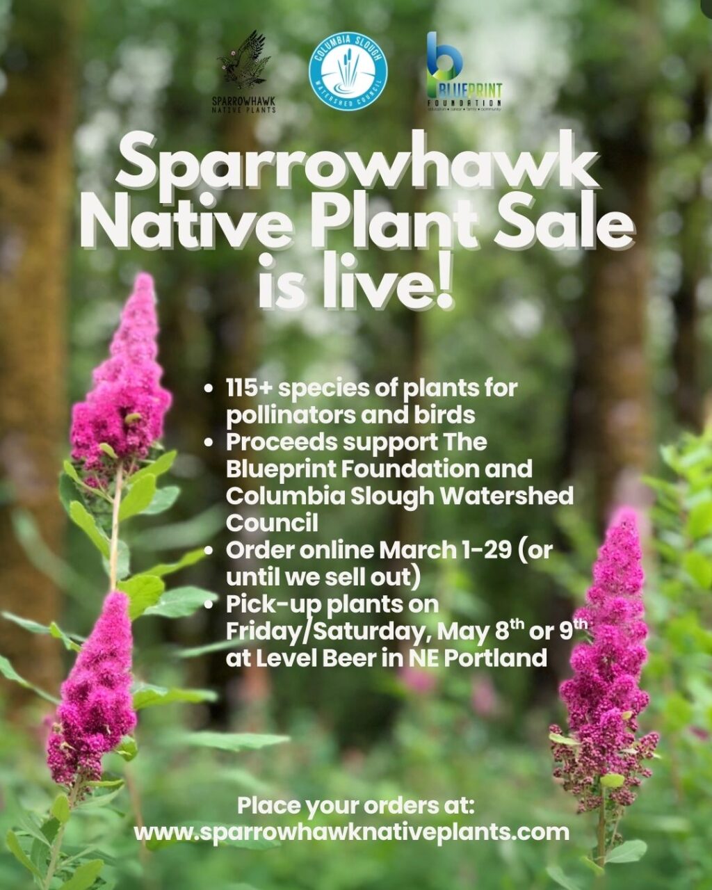 Instagram post from theblueprintfoundation. This post is in position 4.