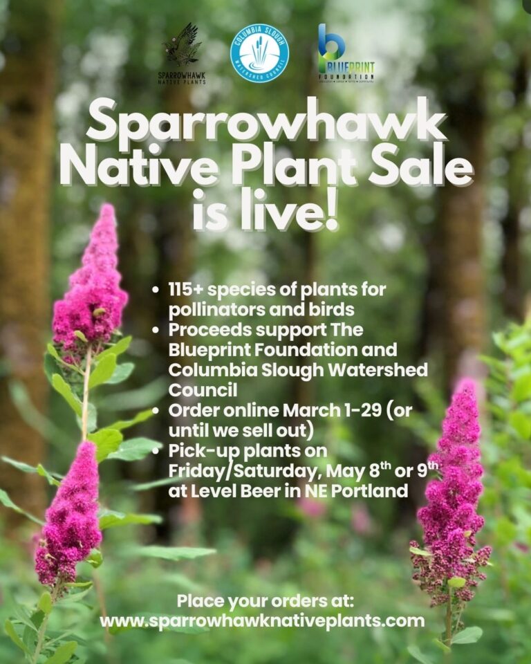 Instagram post from theblueprintfoundation. This post is in position 5.