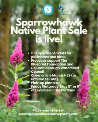 Instagram post from theblueprintfoundation. This post is in position 5.