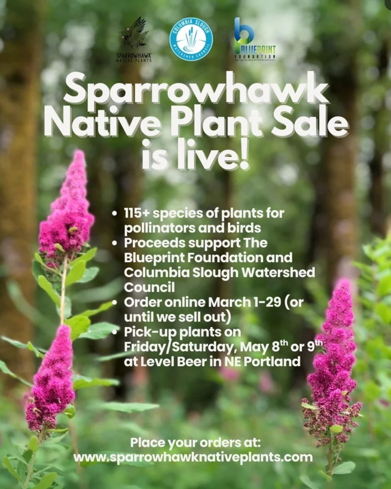 Instagram post from theblueprintfoundation. This post is in position 4.